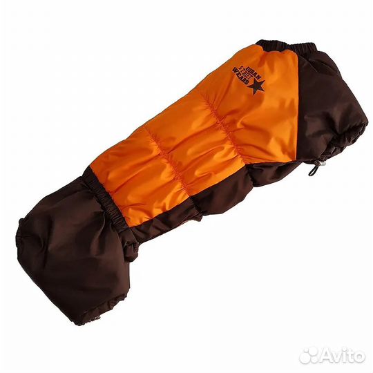 Зимний комбинезон для таксы-мальчика, р-р тс2 б