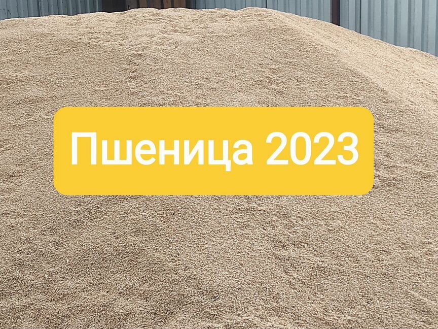 Зерно 2023. 4 тонны