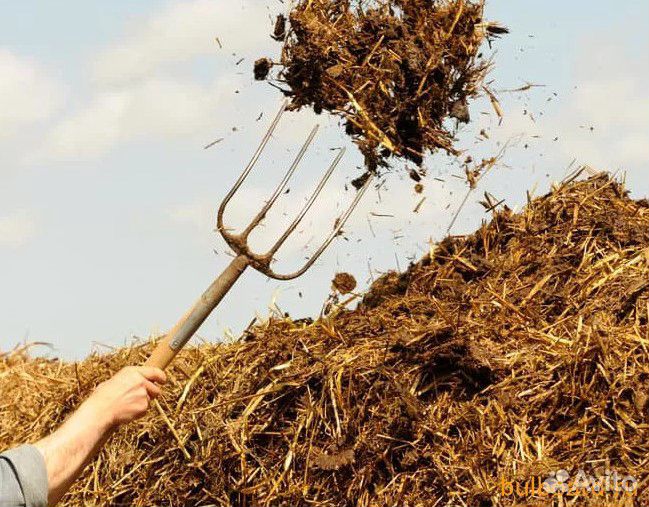 Перегной/ навоз