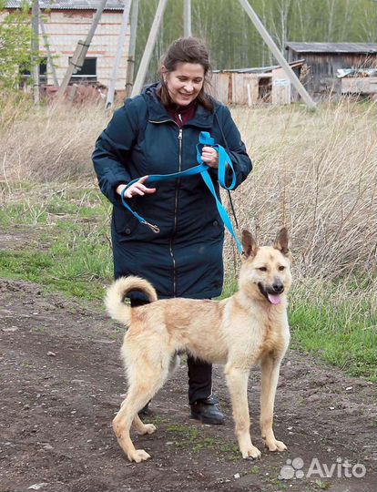 Активный Дин