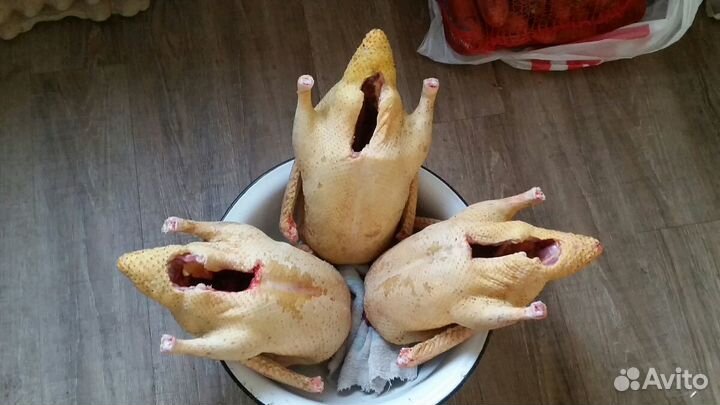 Мясо утки домашней