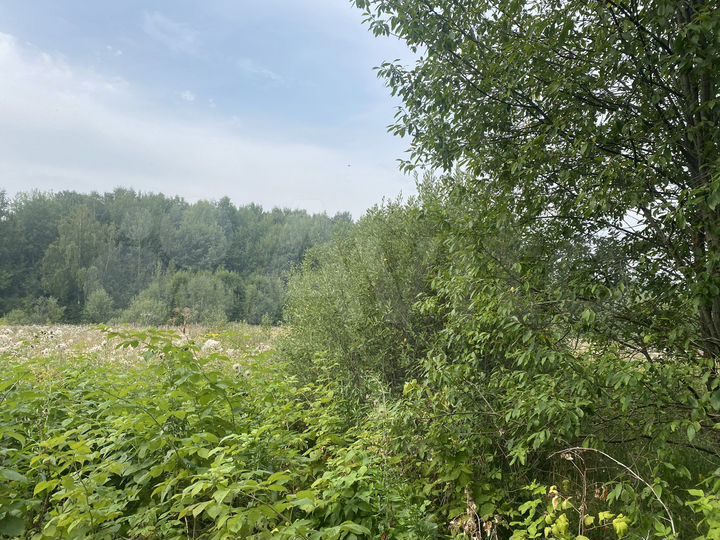 Участок 1,3 га (СНТ, ДНП)