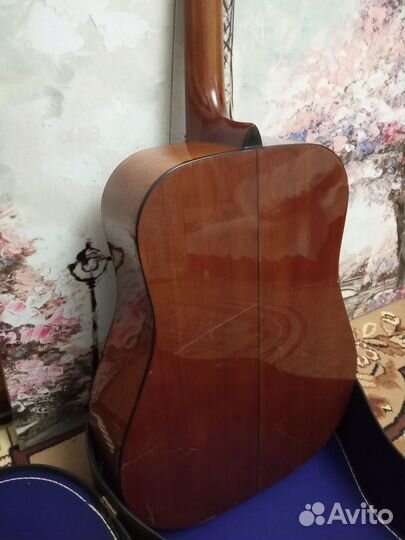 Mitshell MD-100 с кейсом