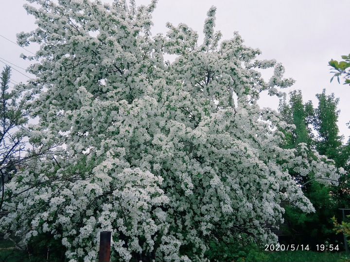 Дом 25 м² на участке 4,5 сот.