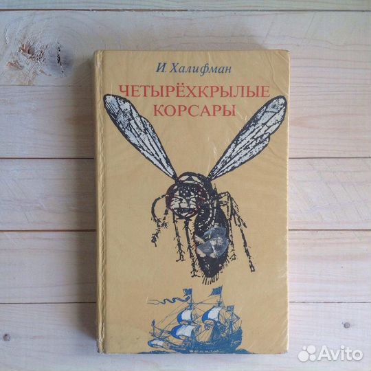 Четырёхкрылые корсары