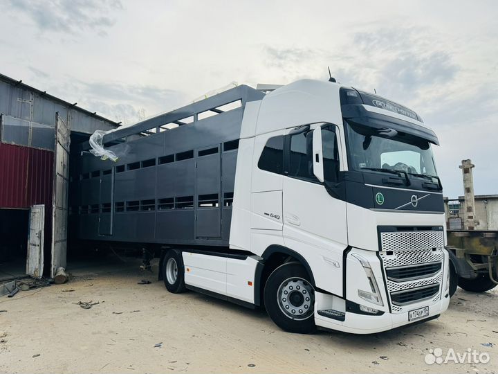 Перевозка Скотовоз 17 метров мрс,крс,Лошадей