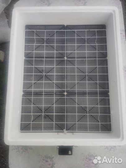 Инкубатор для яиц автоматический бу