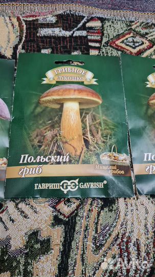 Мицелий грибов подберезовик польский гриб