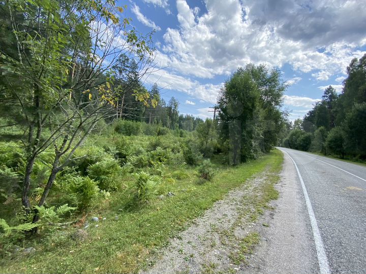 Участок 46,1 сот. (СНТ, ДНП)