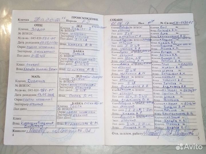 Русская гончая
