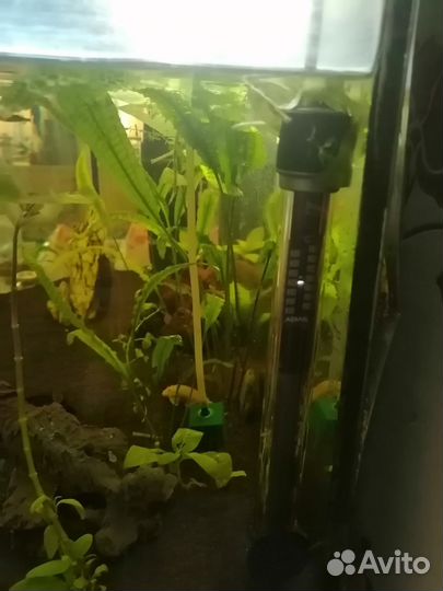 Аквариум с тумбой 90л