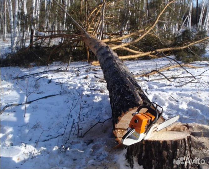 Валка деревьев, чистка участков от кустарников и м