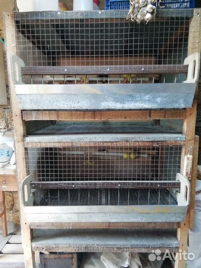 Клетки для кур бройлеров