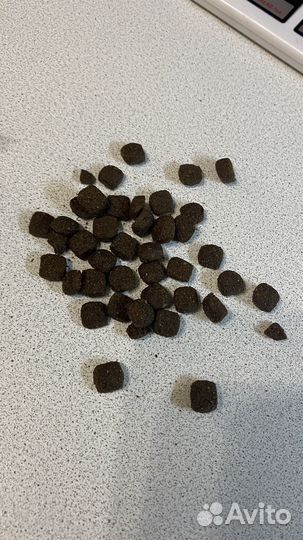 Корм для собак