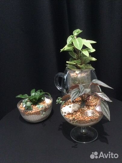 Просто цветы