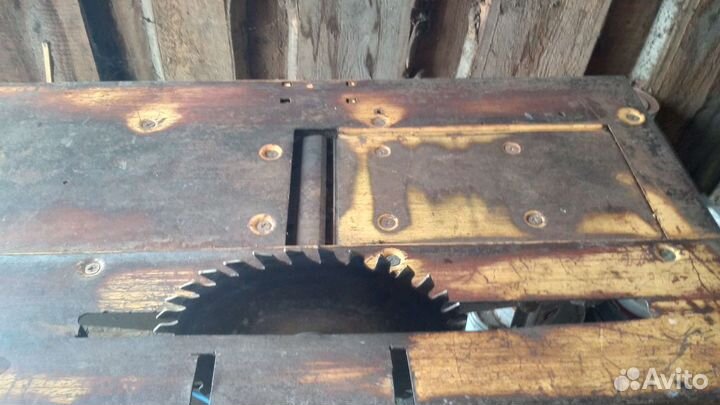 Циркулярная пила