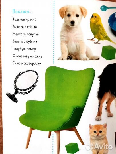 Развивающая книга (карточки Домана)