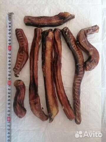 Бычий корень лакомства для собак корм для животных
