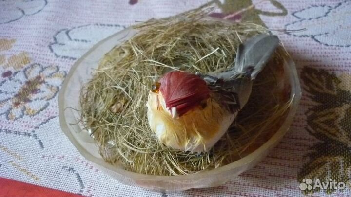 Чучело птички