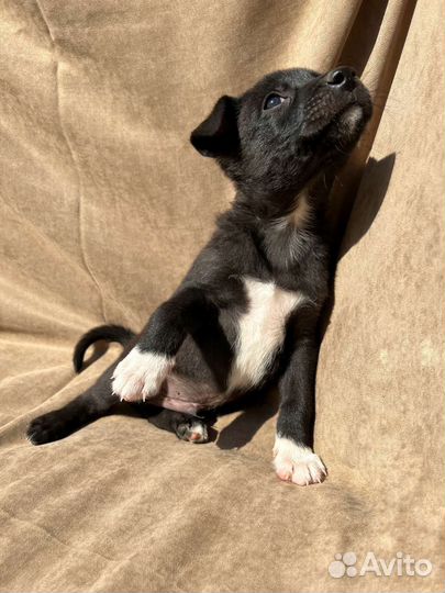 Мальчики и девочки