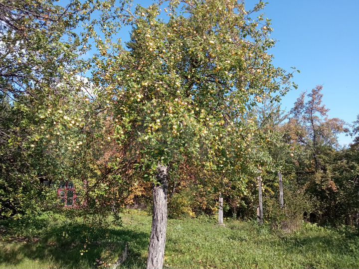 Участок 6 сот. (СНТ, ДНП)