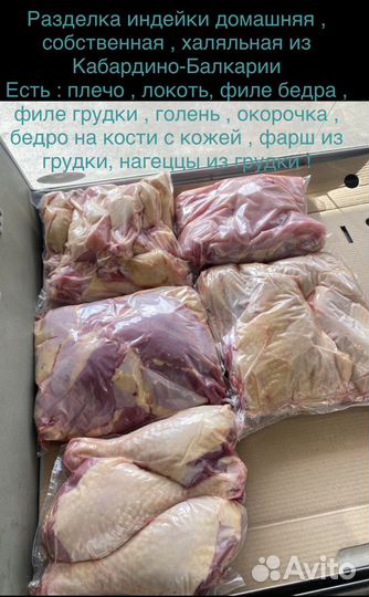 Куры домашние