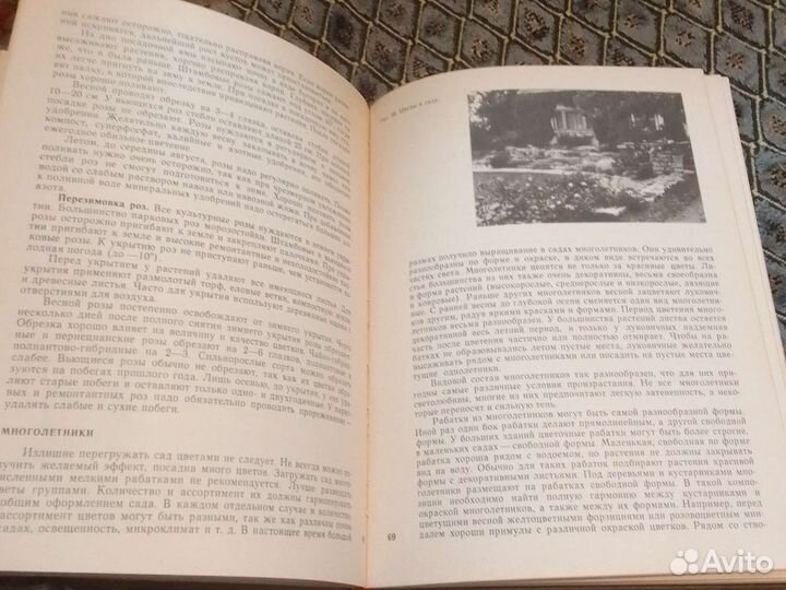 Приусадебное декоративное садоводство. Линда Митт