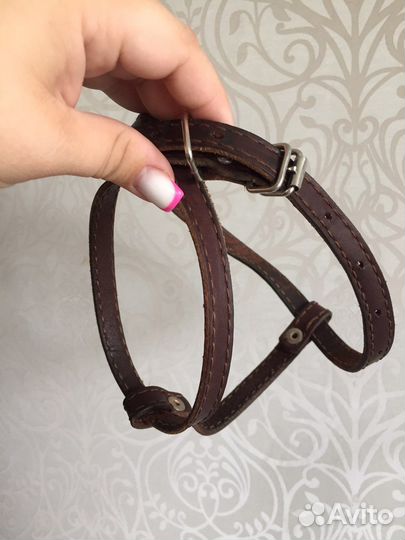 Шлейка для щенка