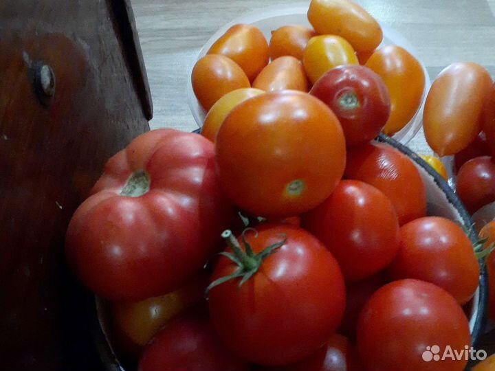Помидоры