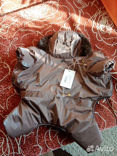 Одежда для собак мелких пород