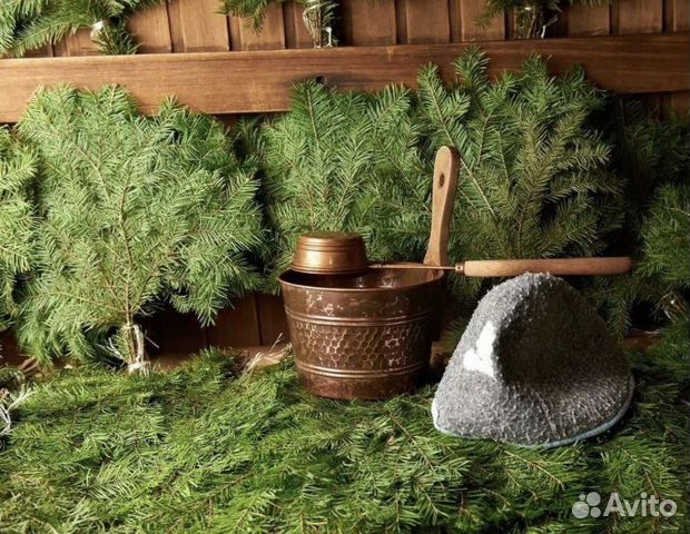 Пихтовые веники для бани купить в Перми | Хобби и отдых | Авито