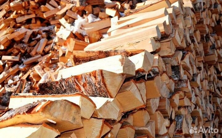 Дрова свежие