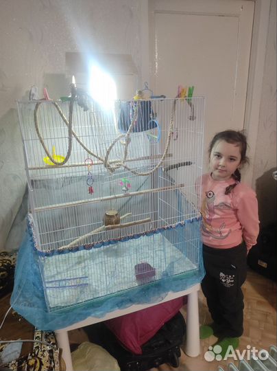 Клетка для крупного попугая