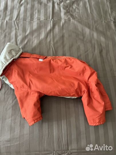 Комбинезон для маленькой собаки