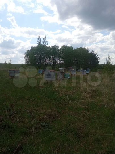 Дом 40 м² на участке 15 сот.