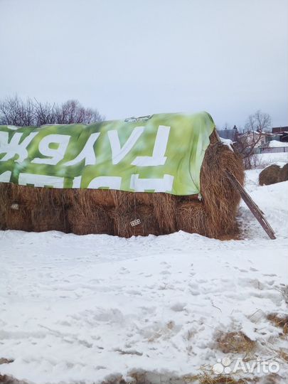 Сено Вика овёс