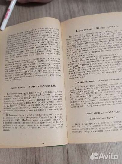 Г. А. Соколов. Млекопитающие кедровых лесов Сибири