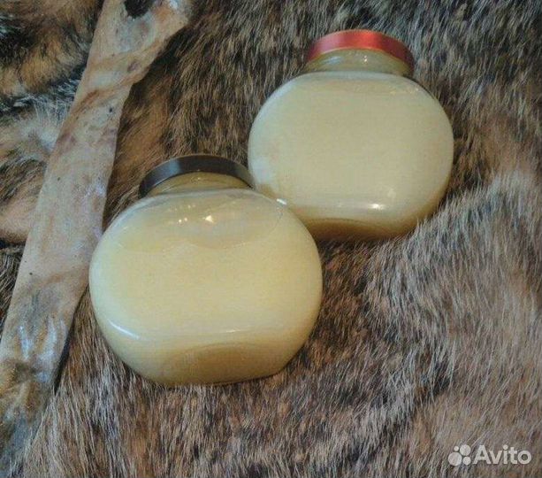 Барсучий жир