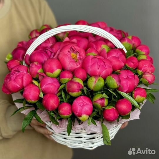 51 Коралловый Пион в корзине / Цветы с доставкой