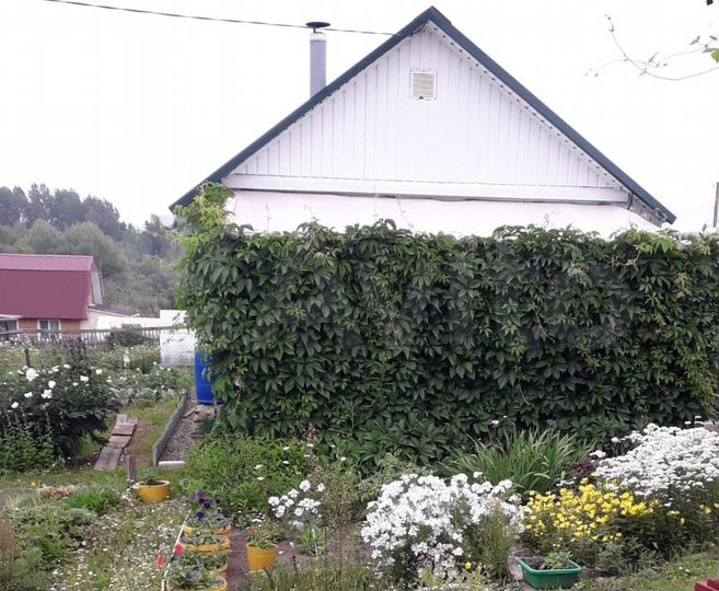 Дача 20 м² на участке 9 сот.