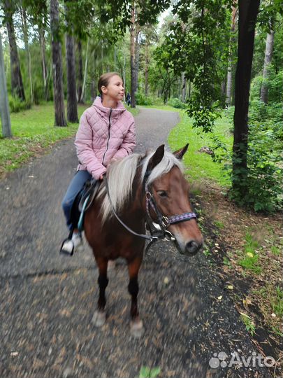 Конные прогулки и фотосессии