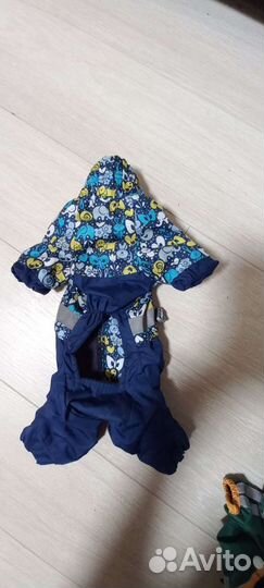 Комбинезон для собаки весна