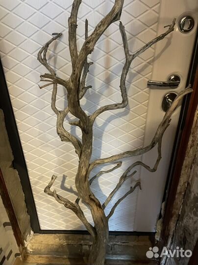 Дрифтвуд коряга для интерьера