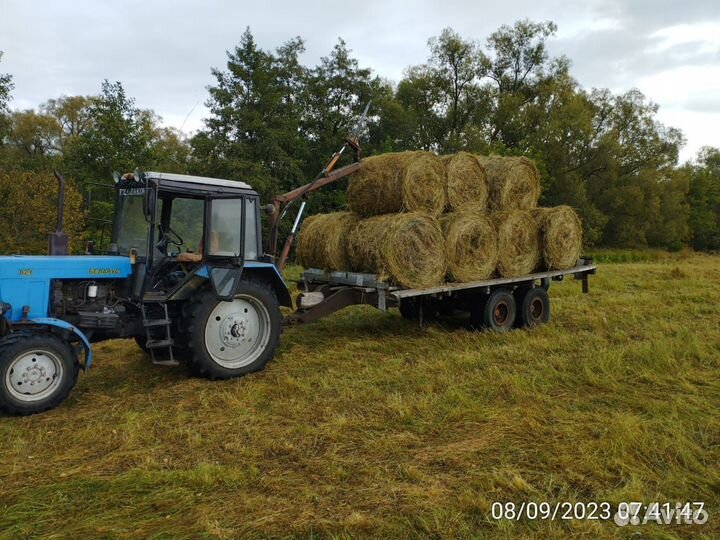 Продам сено в рулонах