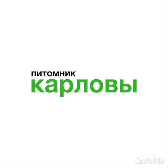 Разнорабочий в питомник растений
