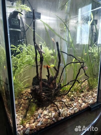 Аквариум aguael 30л со всем содержимым