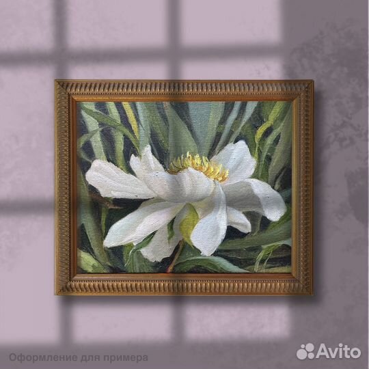 Картина маслом на холсте Белый пион