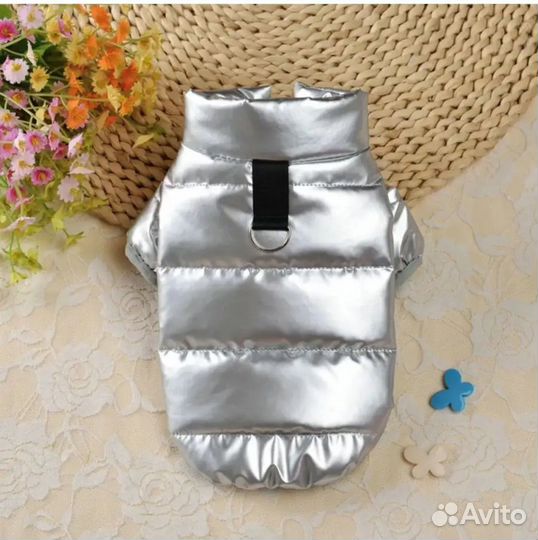 Одежда для маленьких собак