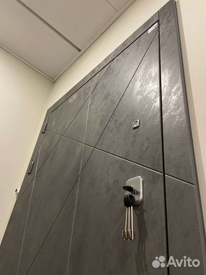 Дверь входная металлическая с зеркалом и без