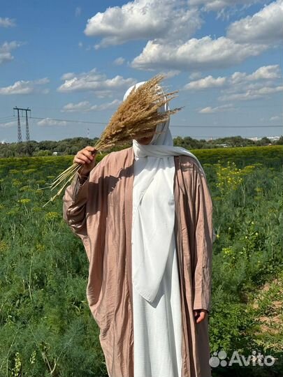 Абая летучка дубай